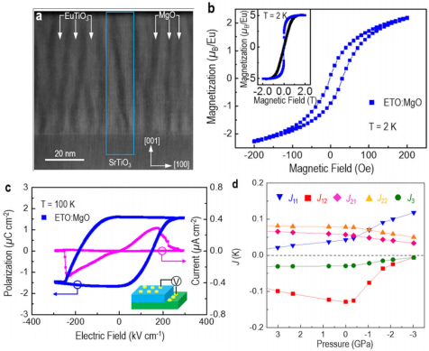 william威廉英国官网