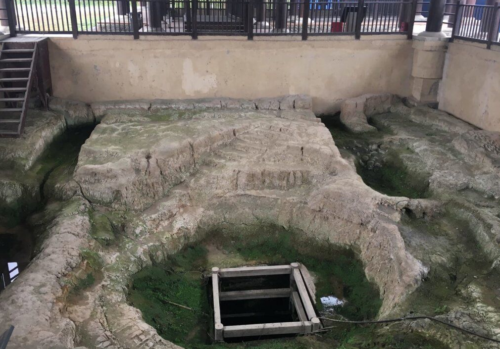 william威廉英国官网